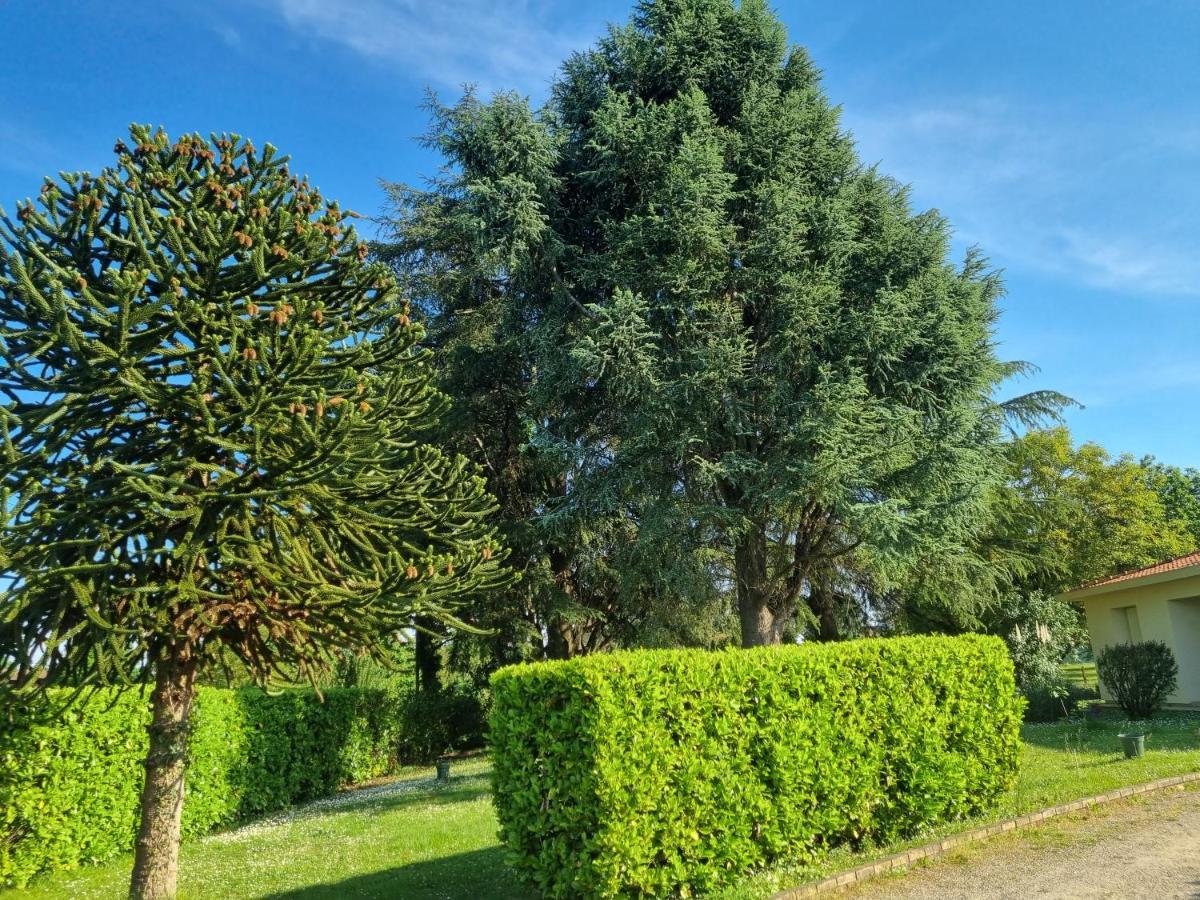 Les 3 Cedres Villa Miramont-de-Guyenne Luaran gambar