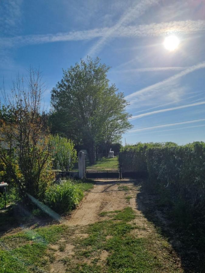Les 3 Cedres Villa Miramont-de-Guyenne Luaran gambar
